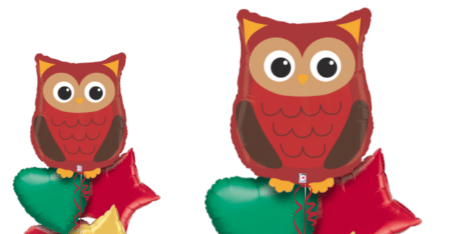 Woodland Creature Owl Balloon