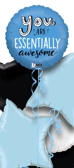 You Are Essentially Awesome Balloon