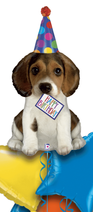 Birthday Pup Balloon