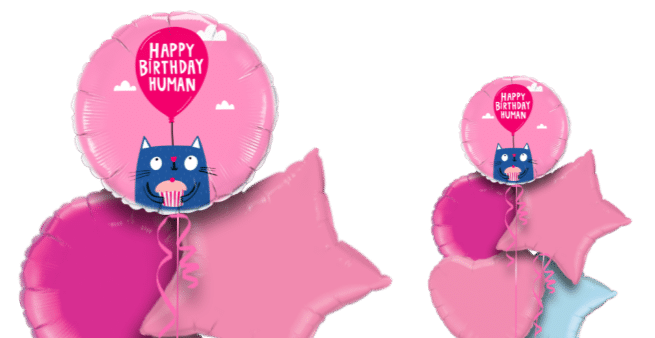 Happy Birthday Human Balloon