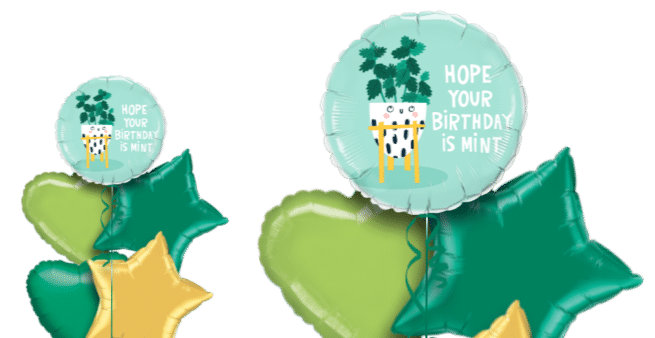 Hope Your Birthday Is Mint Balloon