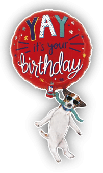 Floating Dog Birthday