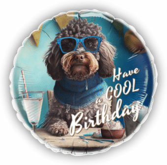 Cool Birthday Dog