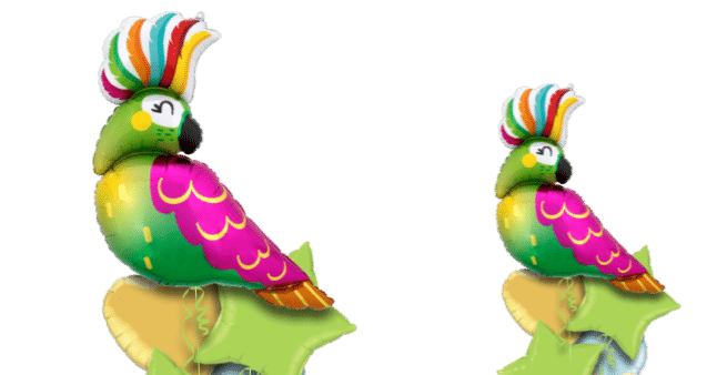 Parrot Balloon