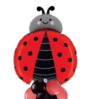 Ladybird Balloon
