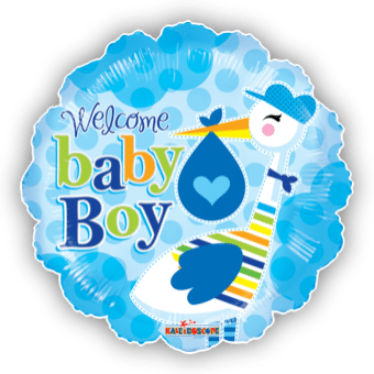 Baby Boy Stork
