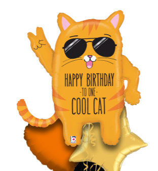 Happy Birthday Cool Cat Balloon