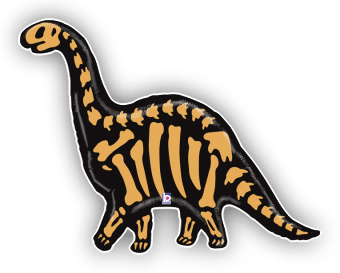 Brontosaurus Bones