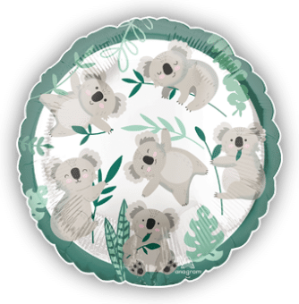 Koala Fun