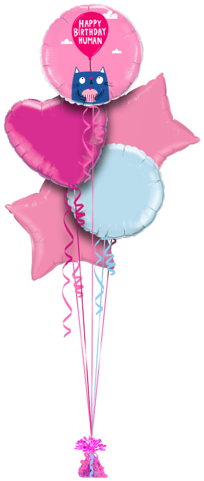 Happy Birthday Human Balloon Bunch