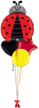 Ladybird Balloon