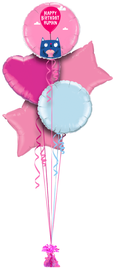 Happy Birthday Human Balloon Bunch