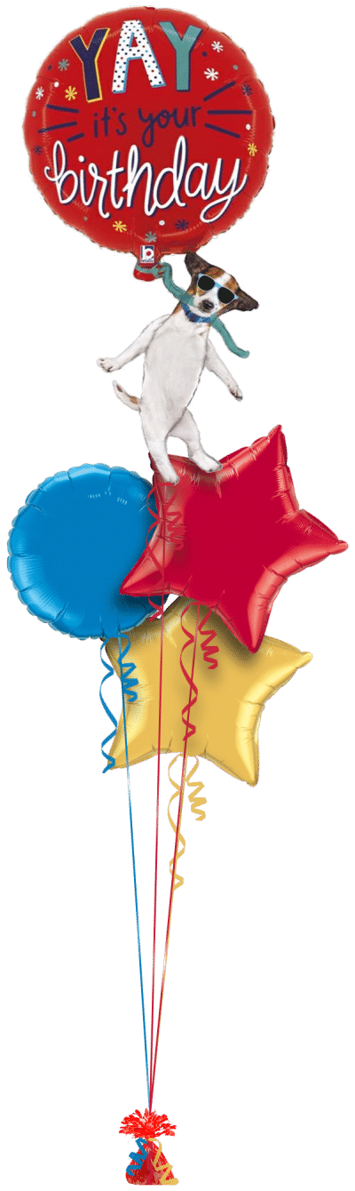 Floating Dog Birthday Balloon Bunch