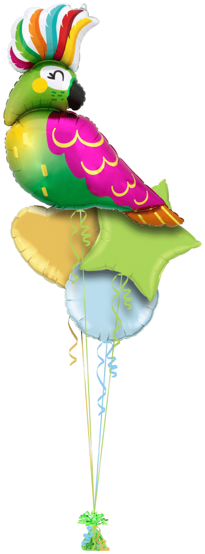 Parrot Balloon Bunch