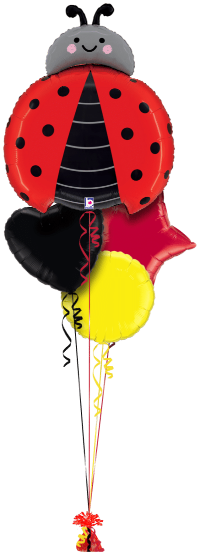 Ladybird Balloon Bunch