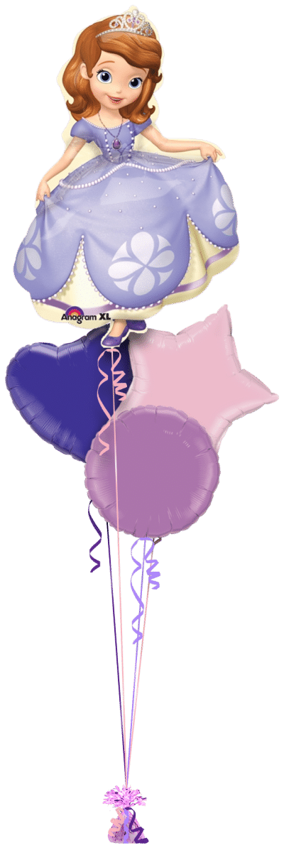 Sofia the First Balloon Bunch