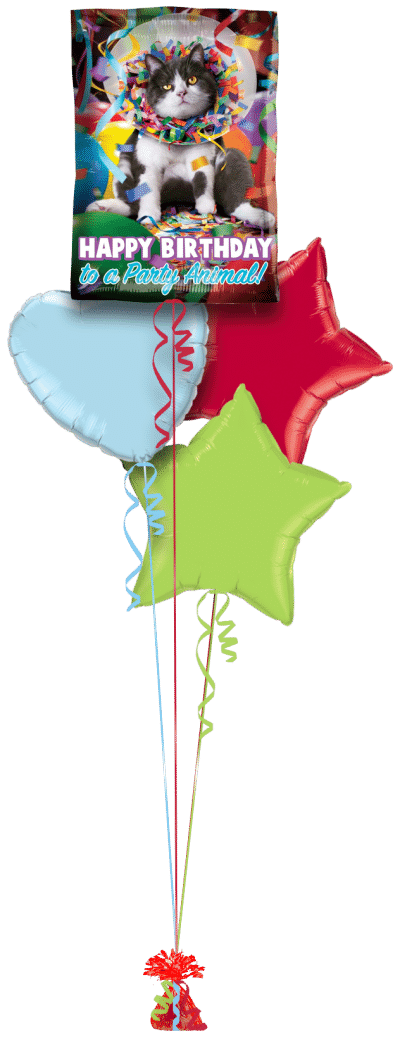 Happy Birthday Party Animal Balloon Bunch